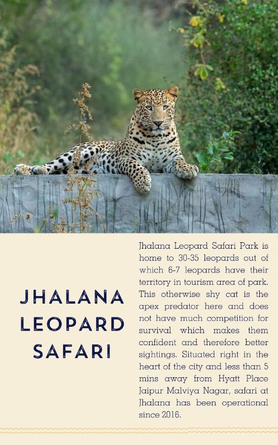Hyatt Place Jaipur Malviya Nagar Экстерьер фото Jhalana Leopard